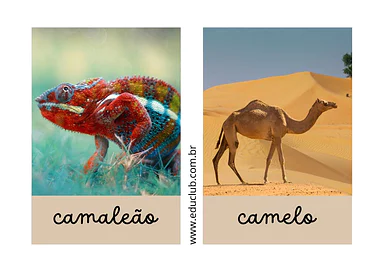 Animal com a letra C | Educlub